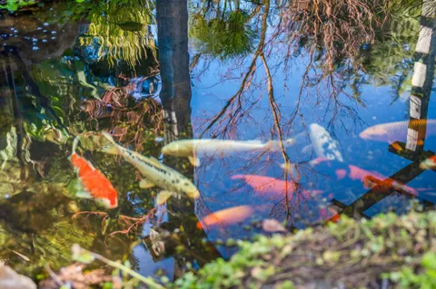 $2,499,000 | 12170 Calle Uvas, Gilroy, CA 95020