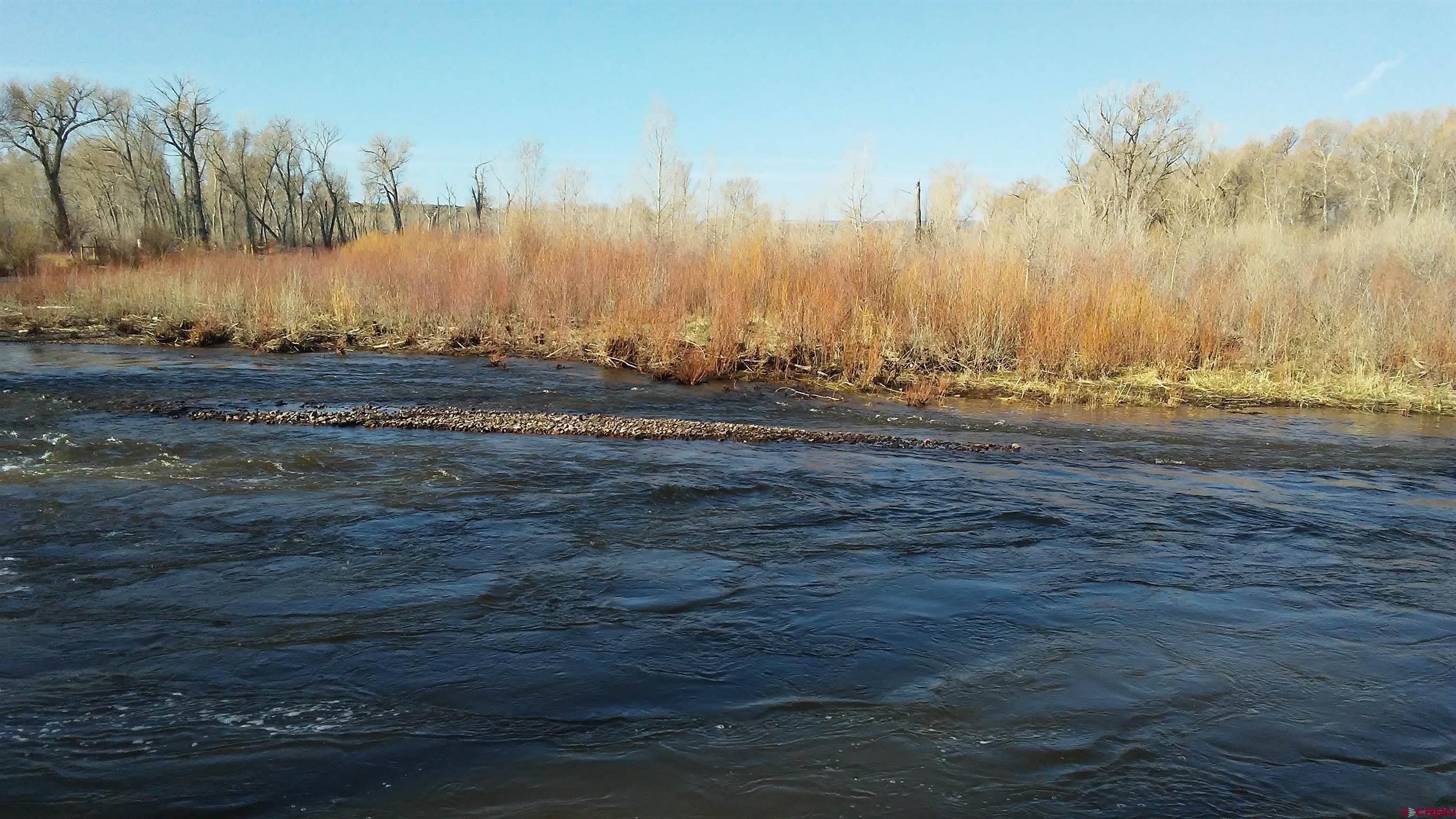 12753 13.5 Road Antonito, CO 81120 - Photo 15 of 39 a view of dirt field with trees