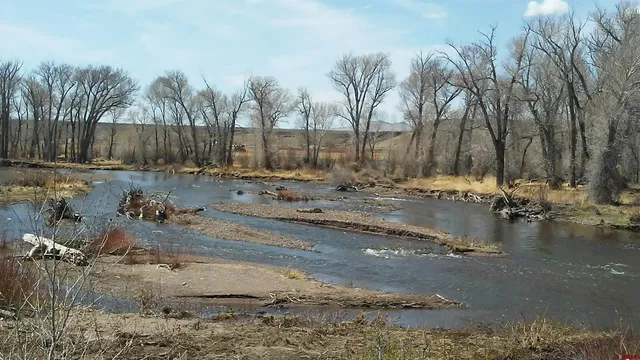 a view of a backyard of the house