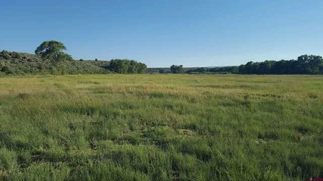 a view of a lush green outdoor space with a lake view
