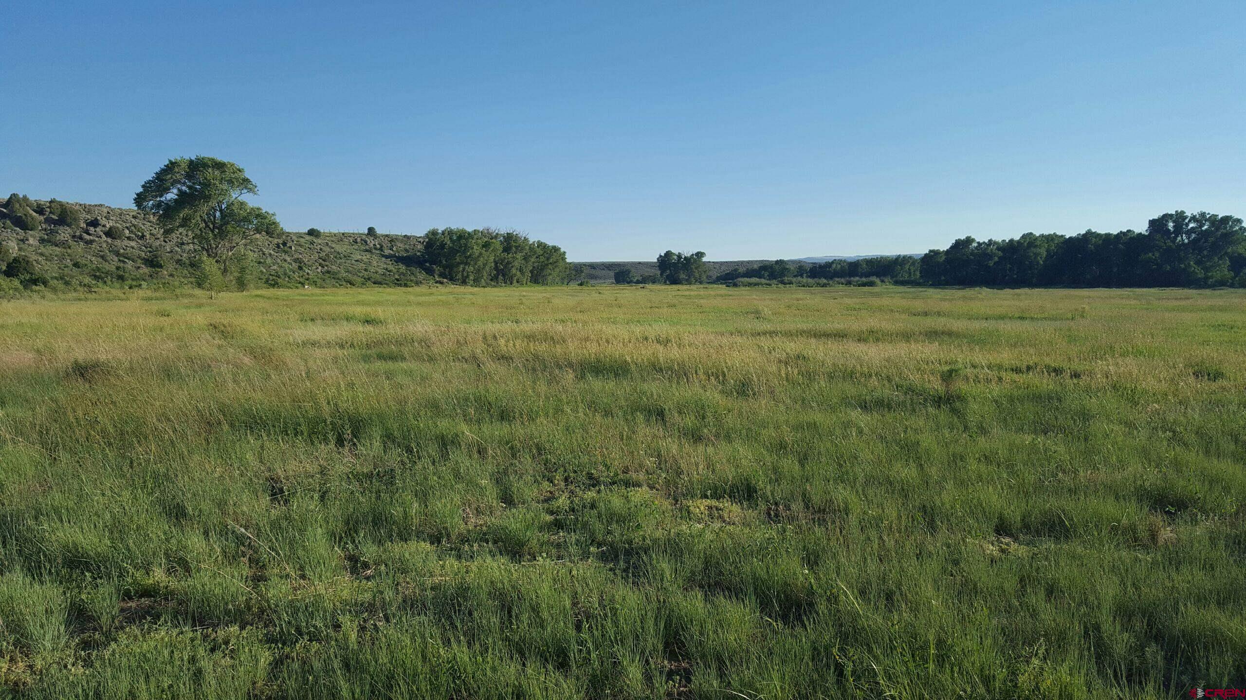12753 13.5 Road Antonito, CO 81120 - Photo 2 of 39 a view of a lush green outdoor space with a lake view