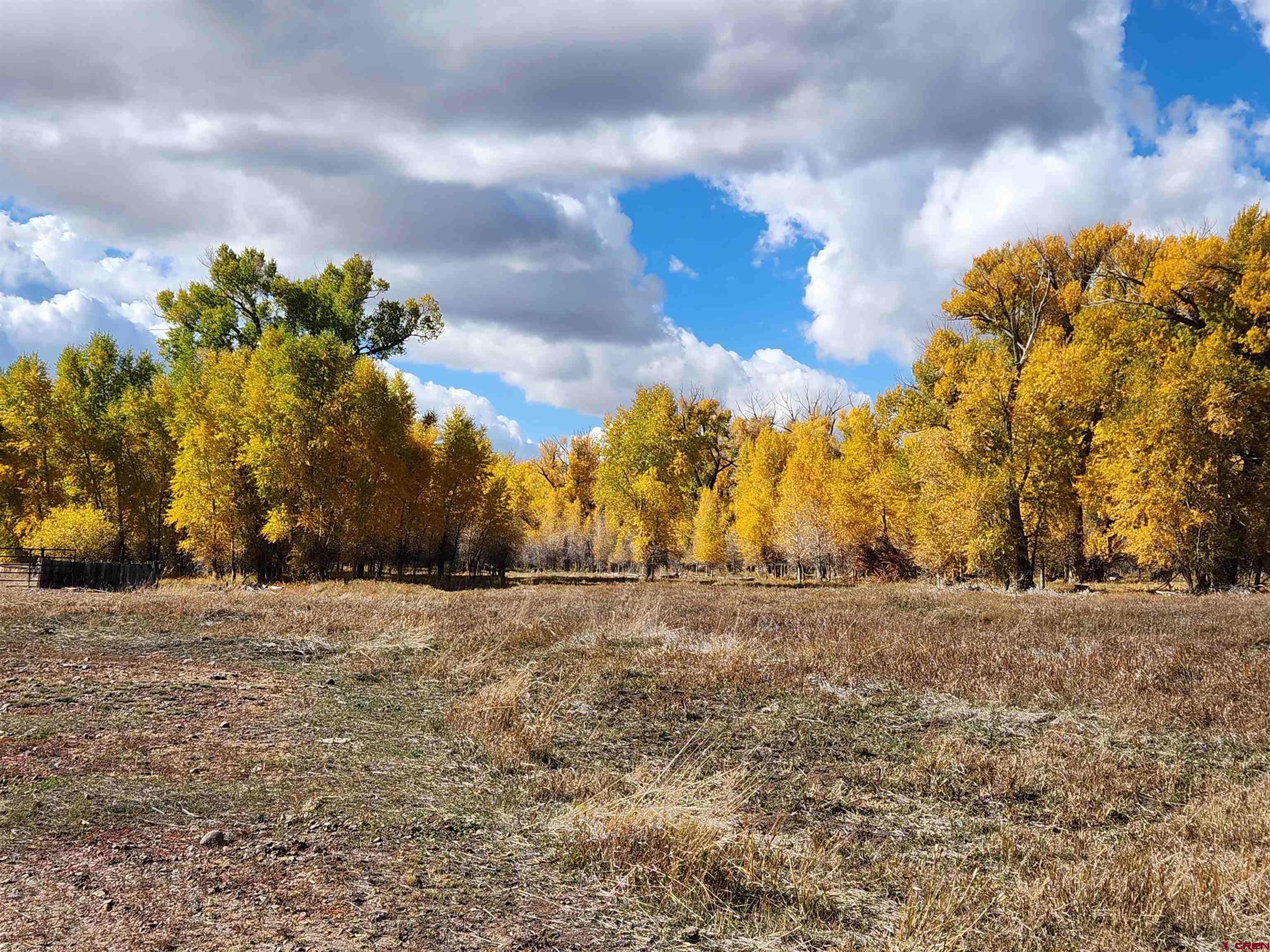 12753 13.5 Road Antonito, CO 81120 - Photo 27 of 39