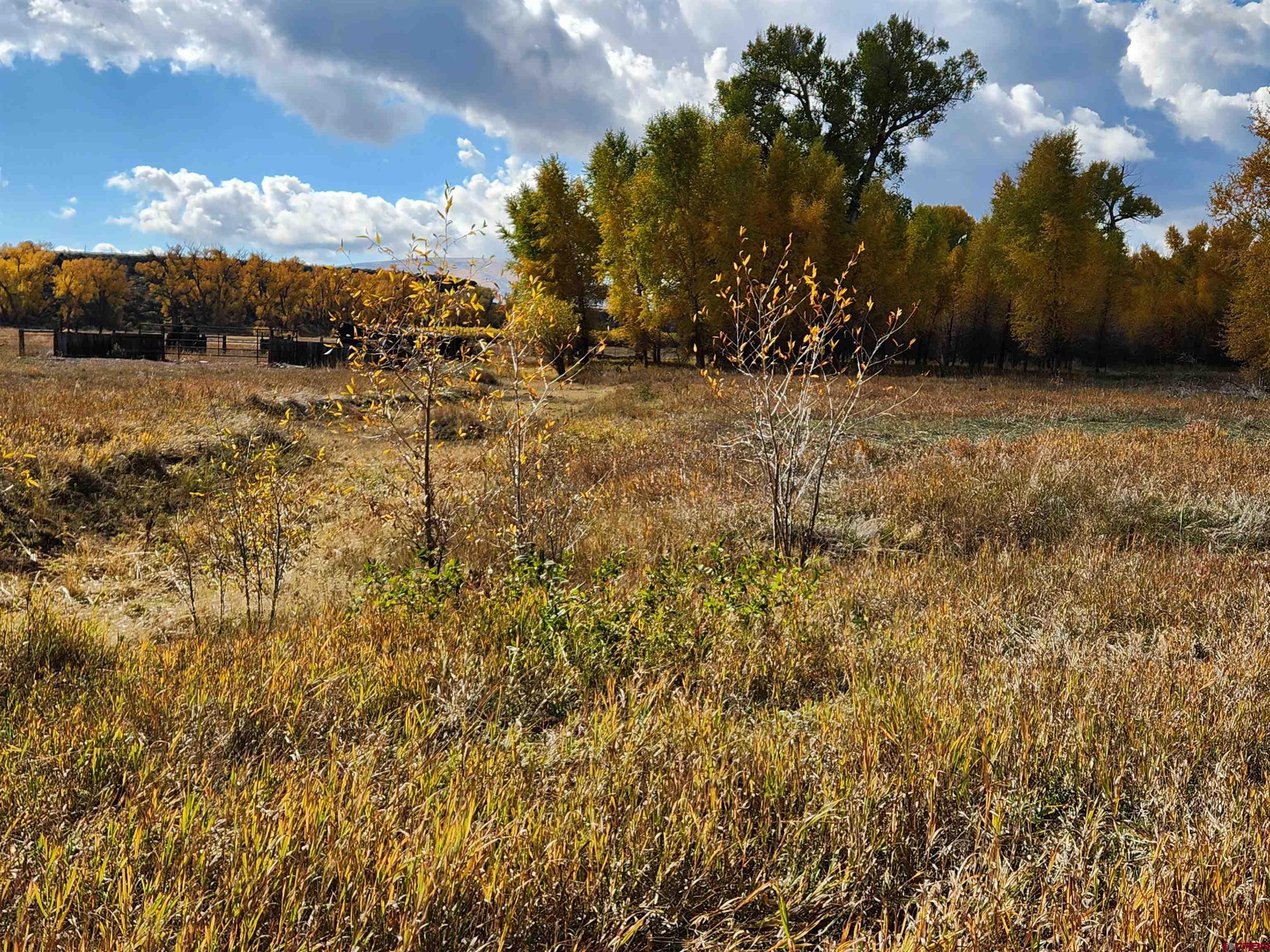 12753 13.5 Road Antonito, CO 81120 - Photo 29 of 39 a view of open area with green space