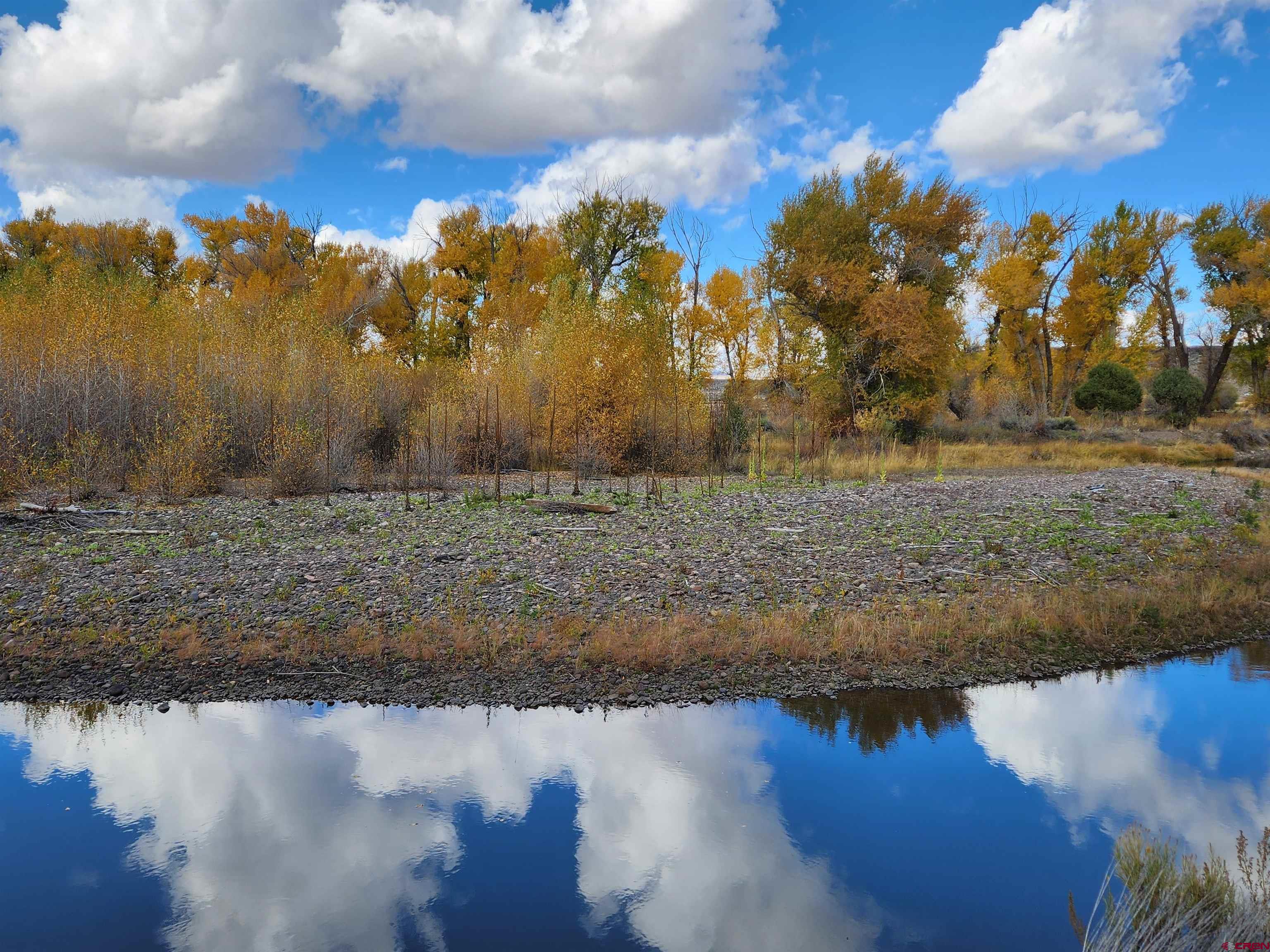 12753 13.5 Road Antonito, CO 81120 - Photo 31 of 39 a view of a yard