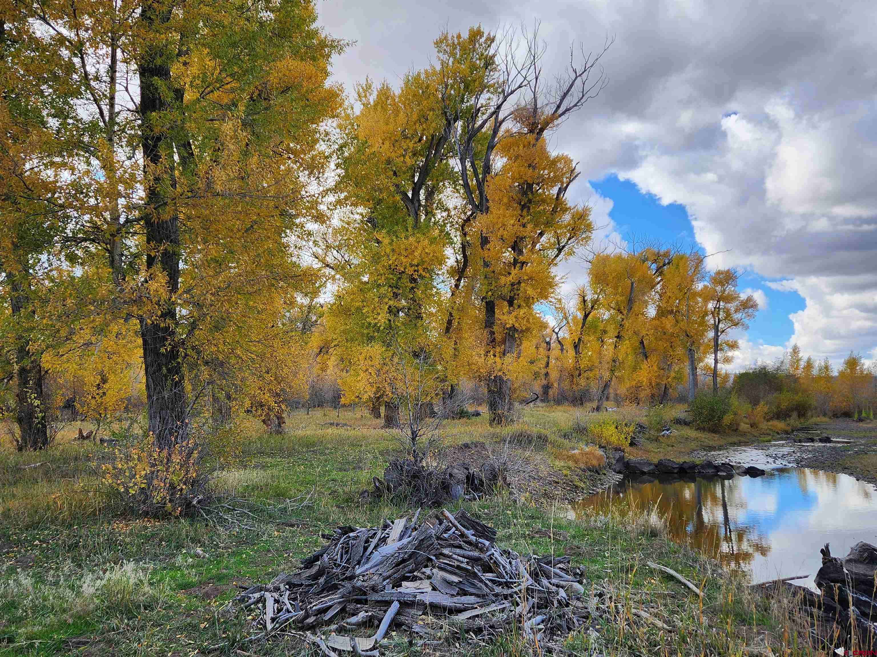 12753 13.5 Road Antonito, CO 81120 - Photo 33 of 39 a view of a lake in middle of forest