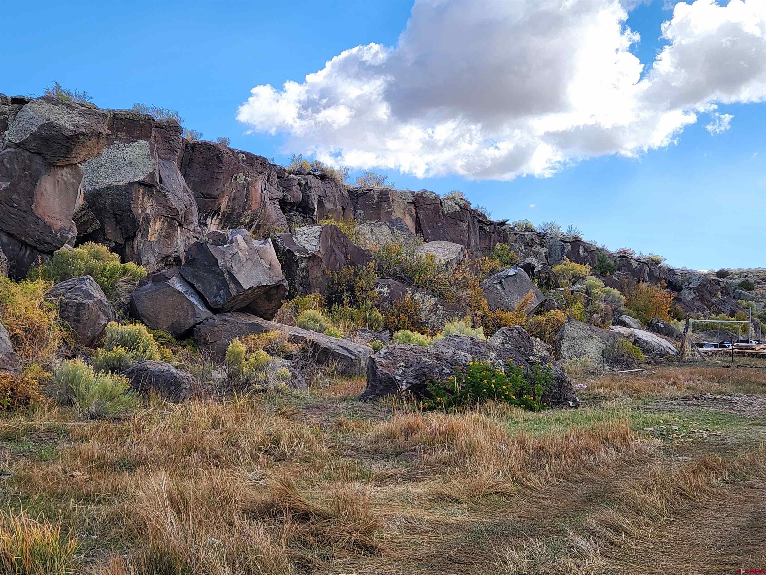 12753 13.5 Road Antonito, CO 81120 - Photo 35 of 39 a view of a dry yard with lots of trees