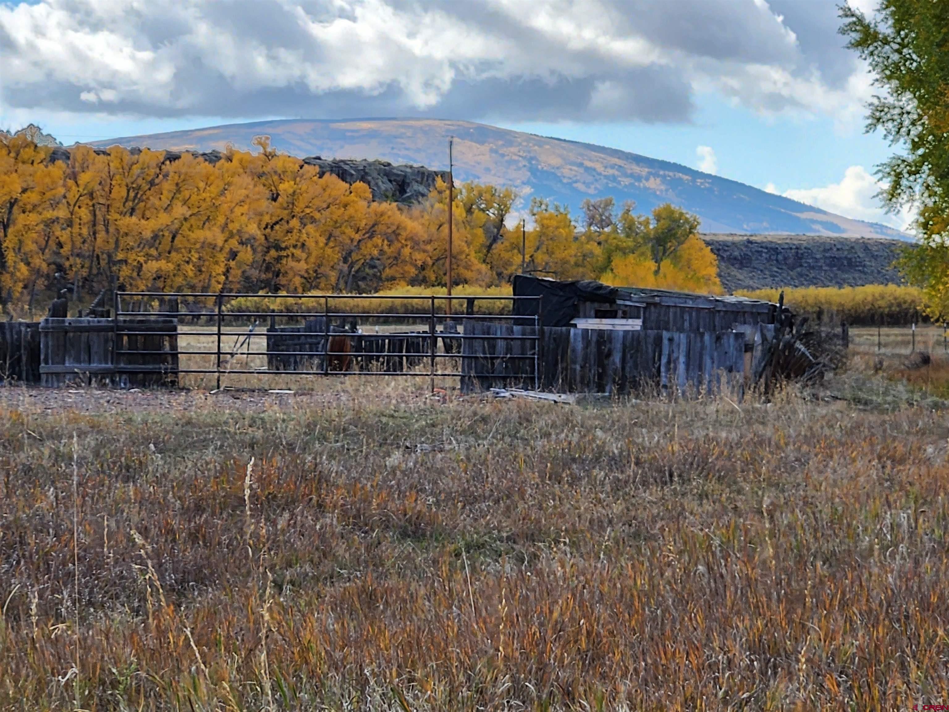 12753 13.5 Road Antonito, CO 81120 - Photo 37 of 39 a view of a yard with wooden fence