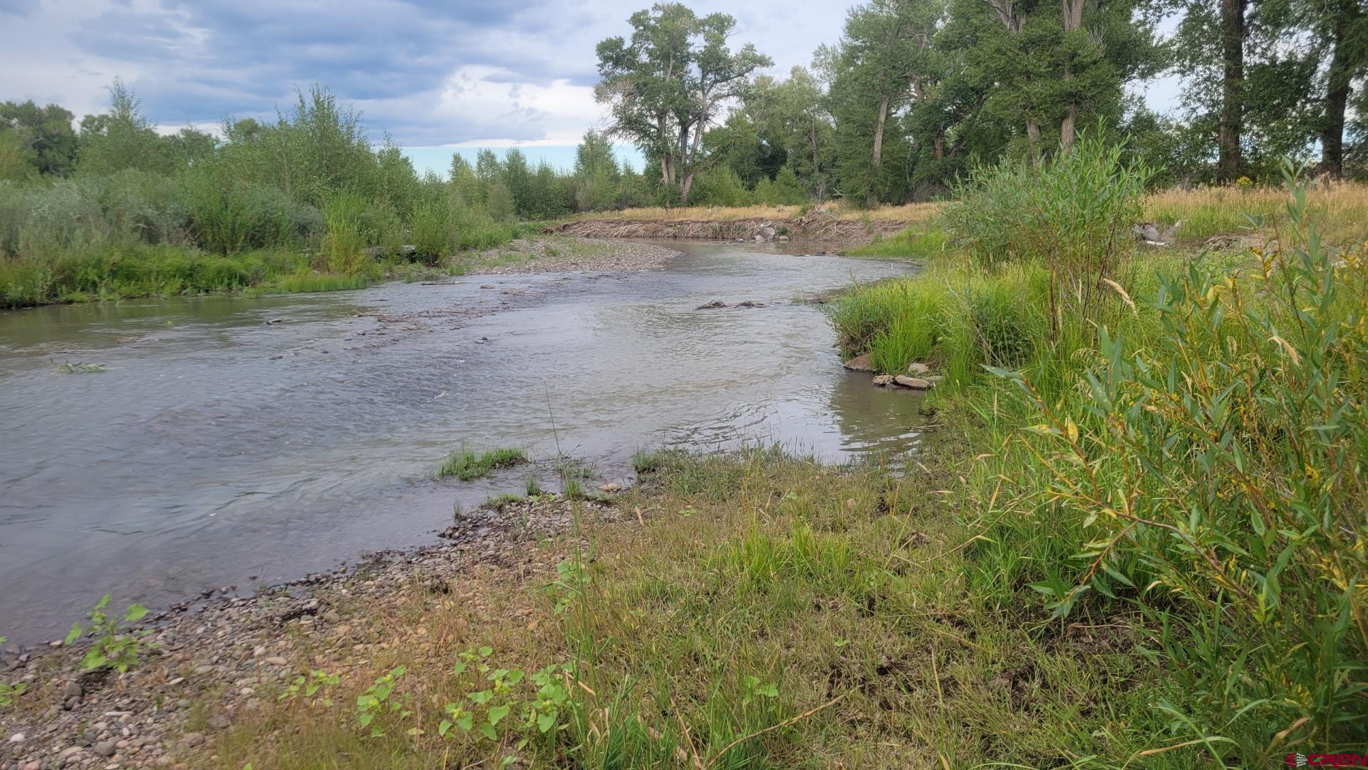 12753 13.5 Road Antonito, CO 81120 - Photo 5 of 39 a view of a yard with a tree