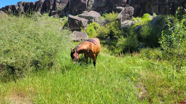 a bedroom with furniture and a wooden floor
