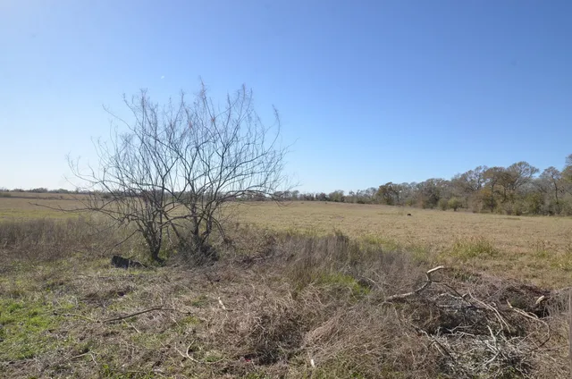 $850,000 | 15573 Farm To Market 1887, Hempstead, TX 77445