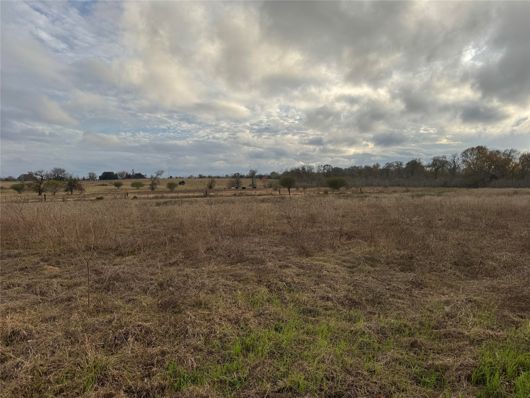 15573 Farm To Market 1887 Hempstead, TX 77445 - Photo 39 of 50 a view of a lake view
