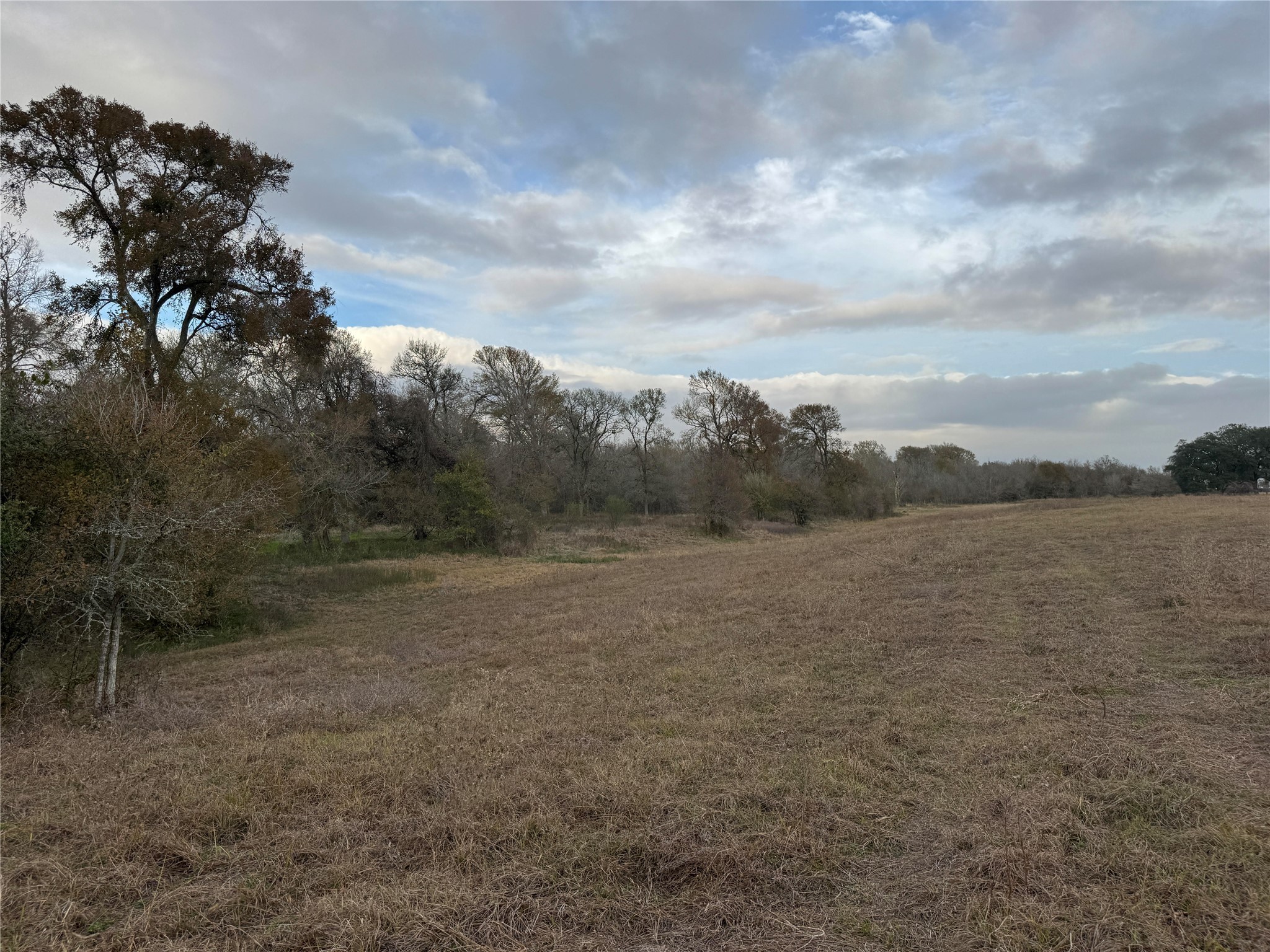 15573 Farm To Market 1887 Hempstead, TX 77445 - Photo 40 of 50 a view of a field with trees