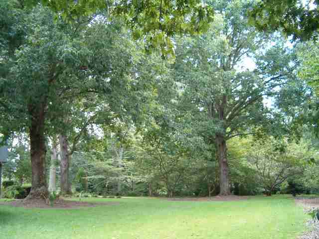 1002 Lightwood Road Hartwell, GA 30643 - Photo 5 of 6 Gallery Image 5