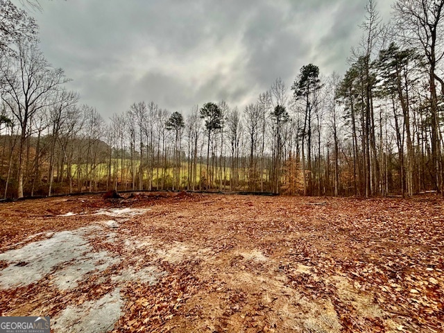 0 Rue De Cason May Carnesville, GA 30521 - Photo 1 of 1