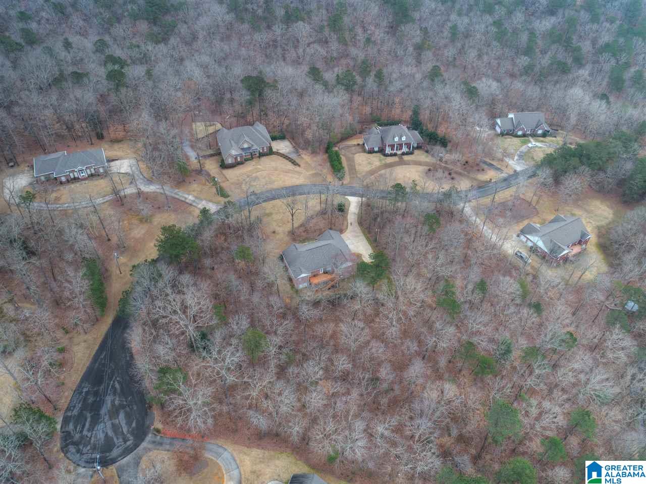 112 Huntington Trace Jasper, AL 35501 - Photo 6 of 49