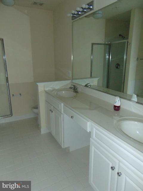 10423 Ridge Landing Place Damascus, MD 20872 - Photo 15 of 17 Bath (Master)