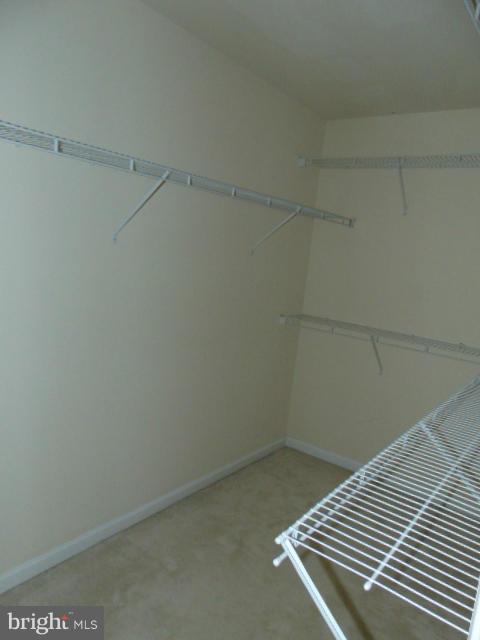 10423 Ridge Landing Place Damascus, MD 20872 - Photo 17 of 17 Closet