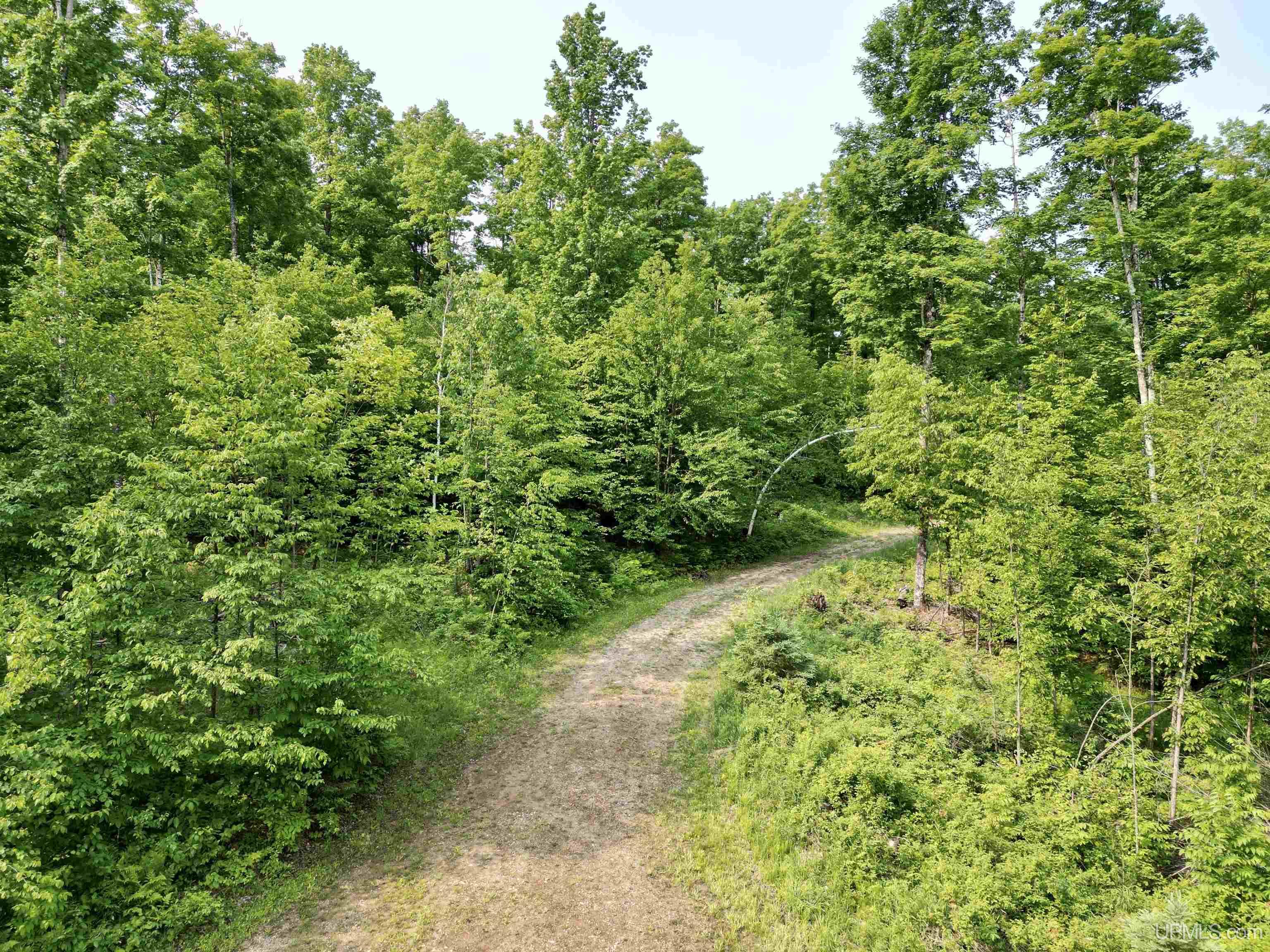 Nine Rd Felch Mi 49831 Road Felch, MI 49831 - Photo 6 of 16