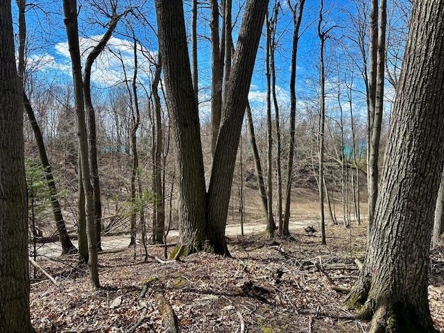 0 Stratton Lane Frankfort, MI 49635 - Photo 12 of 25 1927251-bf50eeb3-d197-46e5-a26d-8364e331200c.JPG