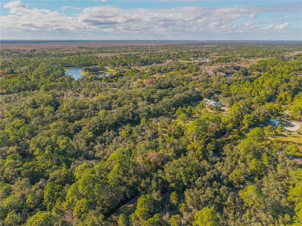0 Clinton Cemetery Road Edgewater, FL 32141 - Photo 17 of 32