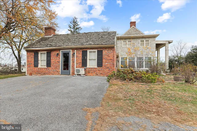 a view of a yard with plants and trees