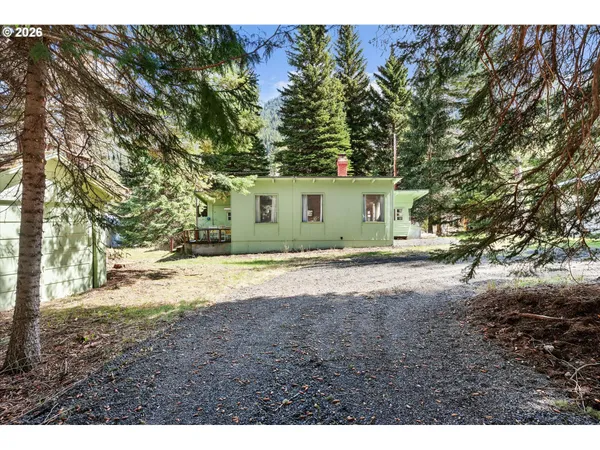 a view of a yard with plants and trees