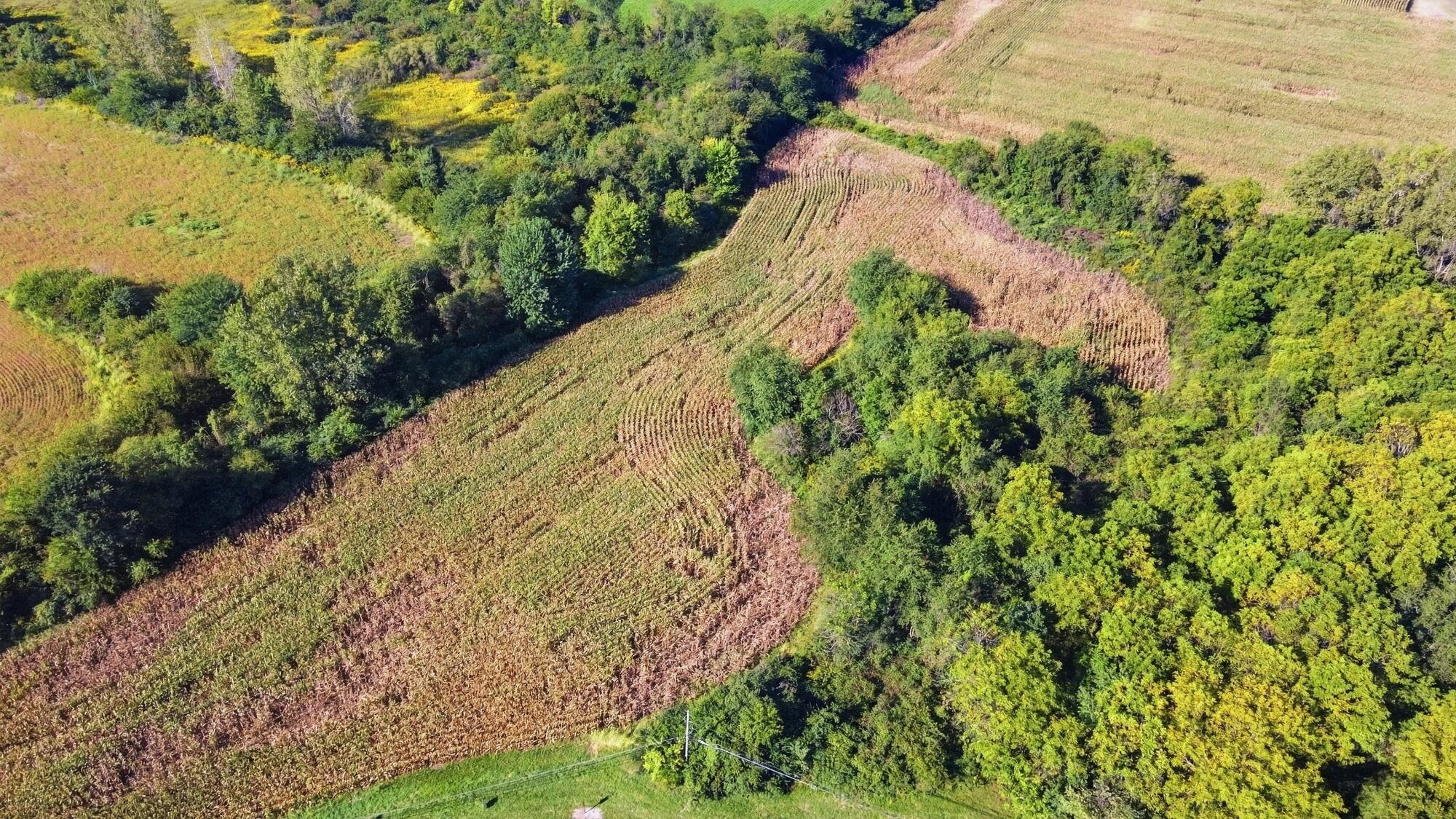 0 Titus Road Springfield, OH 45505 - Photo 4 of 7 4_002