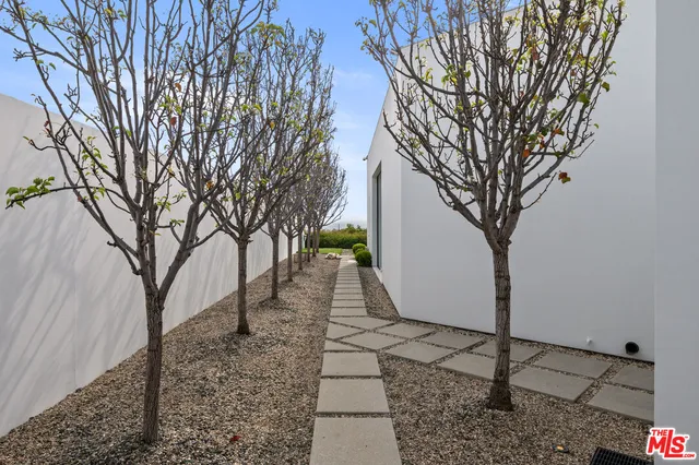 a view of a backyard with large trees