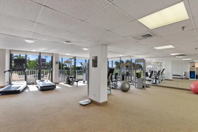 a view of a garden with a building in the background