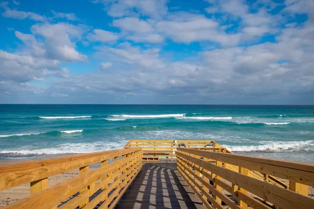 a view of city with ocean