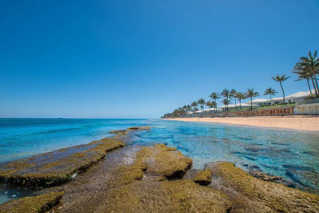 a view of a swimming pool with a yard
