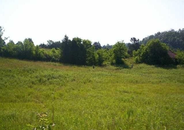 1314 Bruner Grove Bybee, TN 37713 - Photo 1 of 17 lce402e42-m10xd-w1020_h770_q80