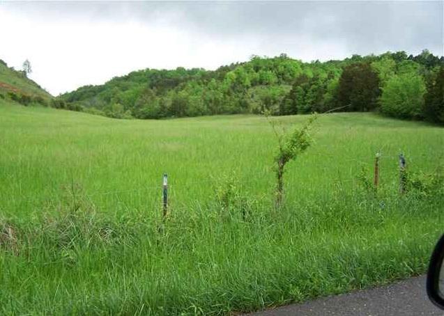 1314 Bruner Grove Bybee, TN 37713 - Photo 2 of 17 lce402e42-m1xd-w1020_h770_q80