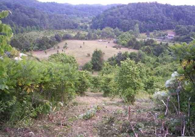 1314 Bruner Grove Bybee, TN 37713 - Photo 13 of 17 lce402e42-m5xd-w1020_h770_q80
