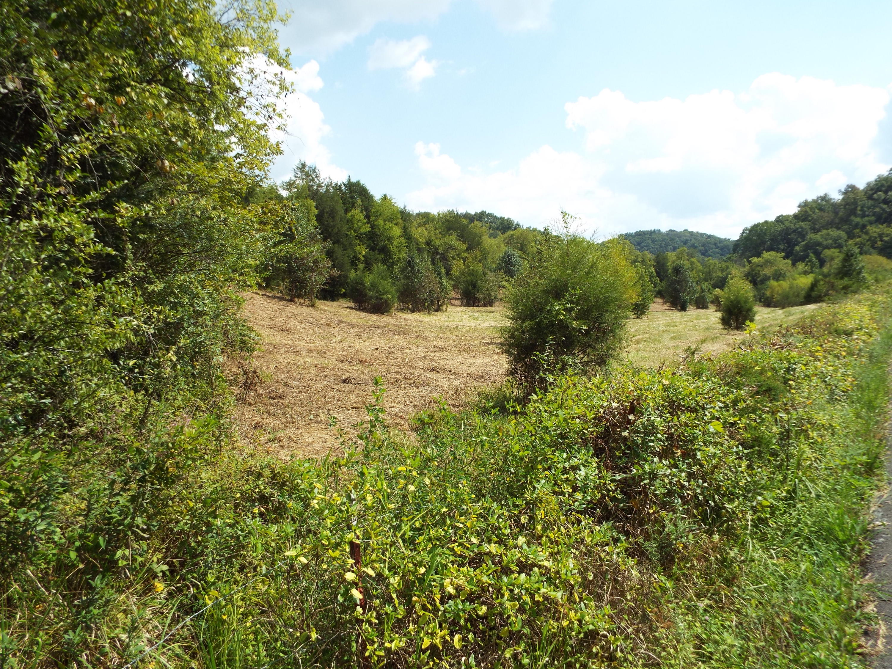 1314 Bruner Grove Bybee, TN 37713 - Photo 17 of 17 DSCF1265