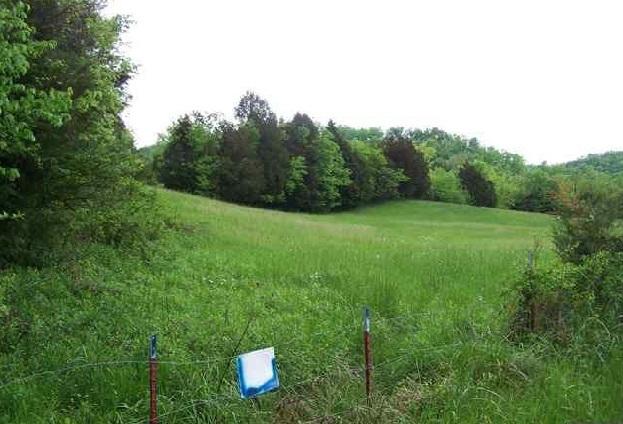 1314 Bruner Grove Bybee, TN 37713 - Photo 3 of 17 lce402e42-m0xd-w1020_h770_q80