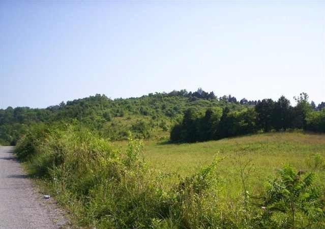 1314 Bruner Grove Bybee, TN 37713 - Photo 4 of 17 lce402e42-m3xd-w1020_h770_q80