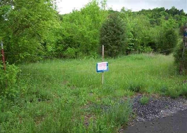 1314 Bruner Grove Bybee, TN 37713 - Photo 6 of 17 lce402e42-m2xd-w1020_h770_q80