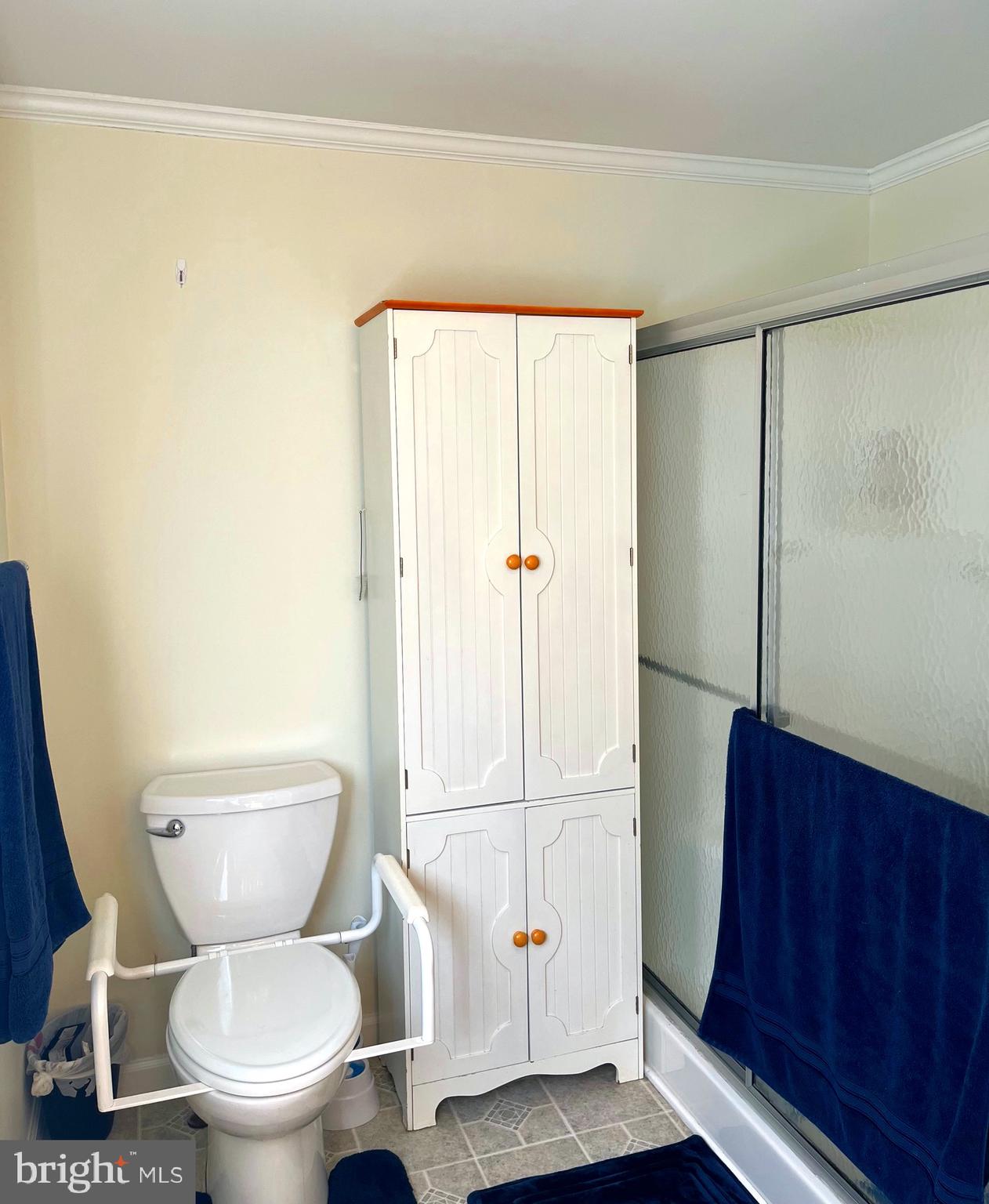 10505 Cedarville Road Brandywine, MD 20613 - Photo 18 of 20 Handicap Accessible Master Bathroom