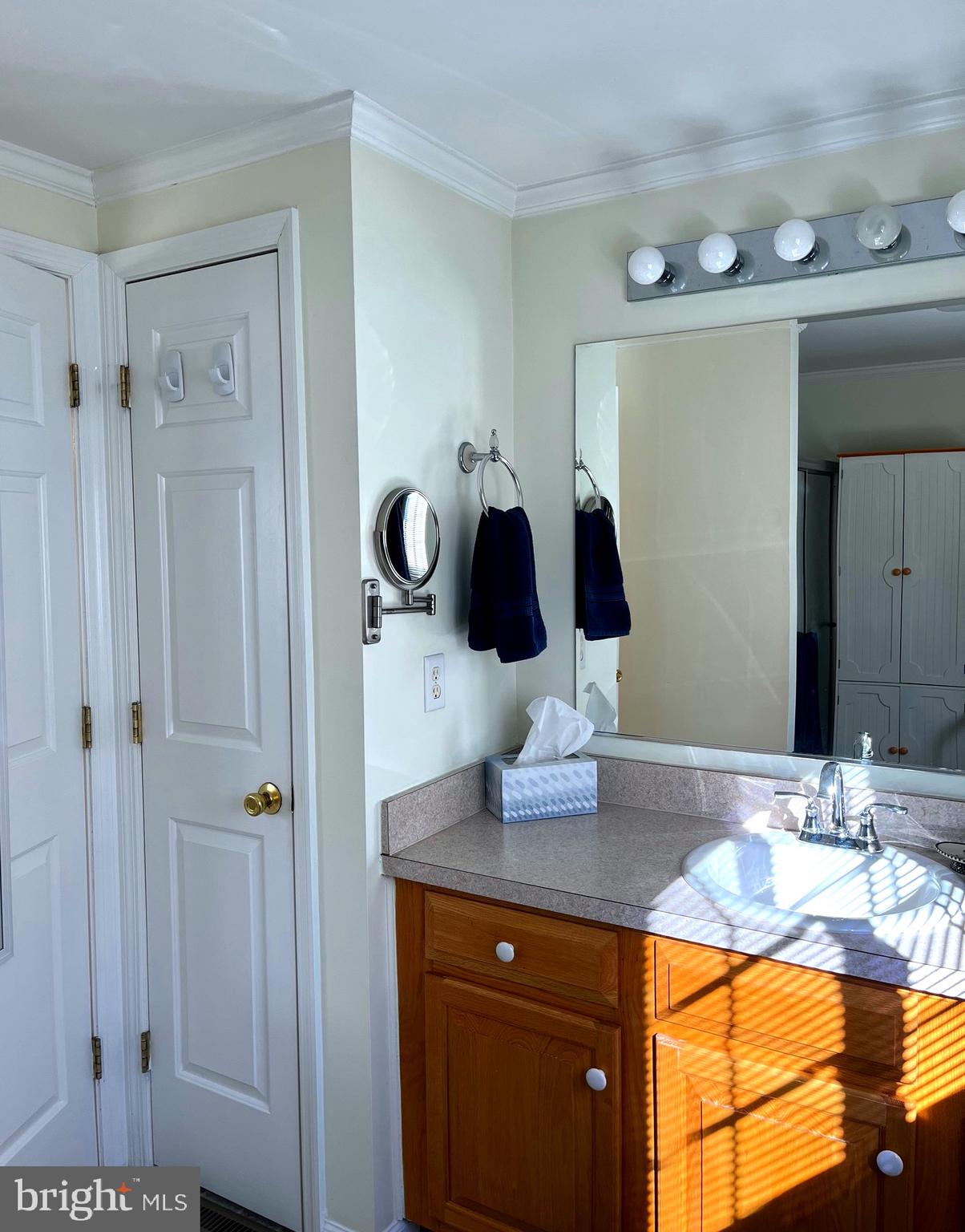 10505 Cedarville Road Brandywine, MD 20613 - Photo 19 of 20 Handicap Accessible Master Bathroom