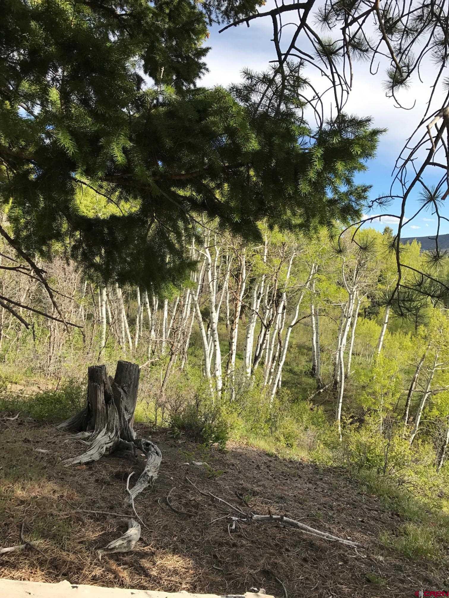 660 Winding River Road Durango, CO 81301 - Photo 11 of 29 a view of yard