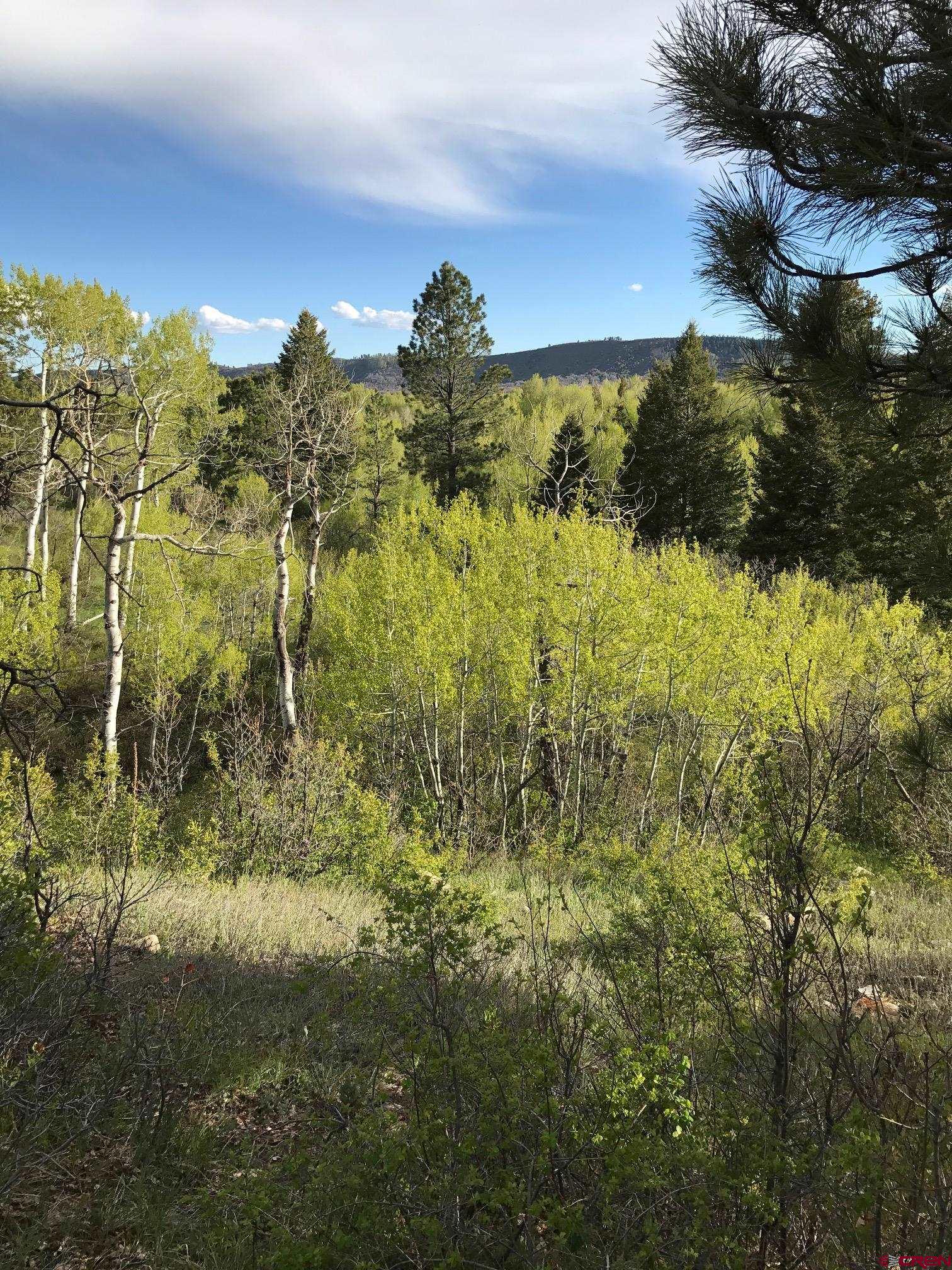 660 Winding River Road Durango, CO 81301 - Photo 12 of 29 a view of a lake view with houses