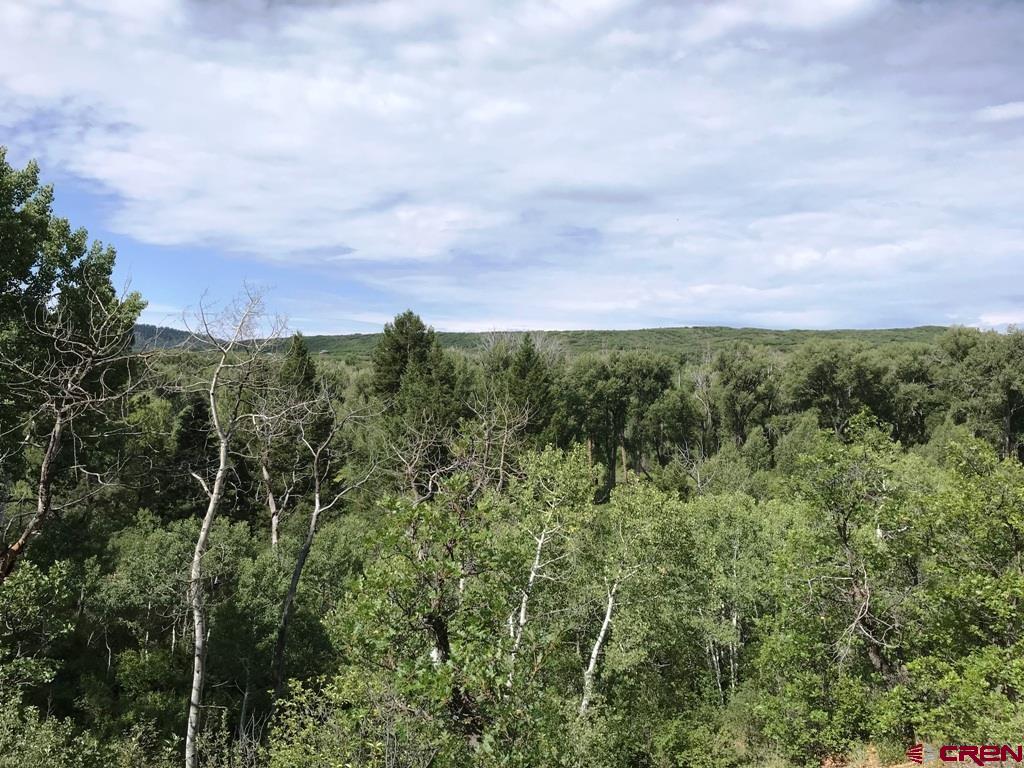 660 Winding River Road Durango, CO 81301 - Photo 14 of 29 view of a bunch of trees