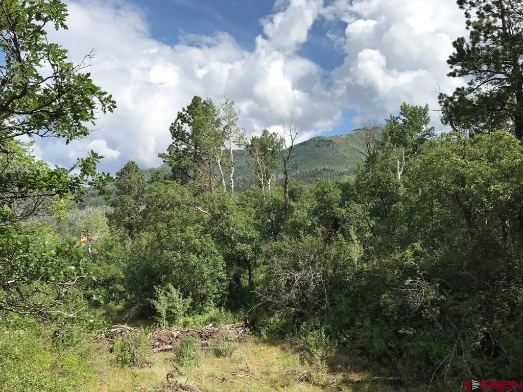 660 Winding River Road Durango, CO 81301 - Photo 15 of 29 a view of a lake with a yard