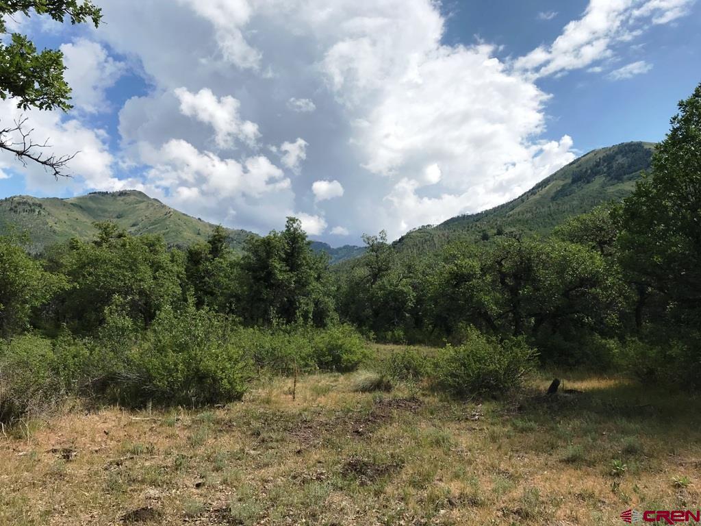 660 Winding River Road Durango, CO 81301 - Photo 18 of 29 a view of a pathway both side of green field