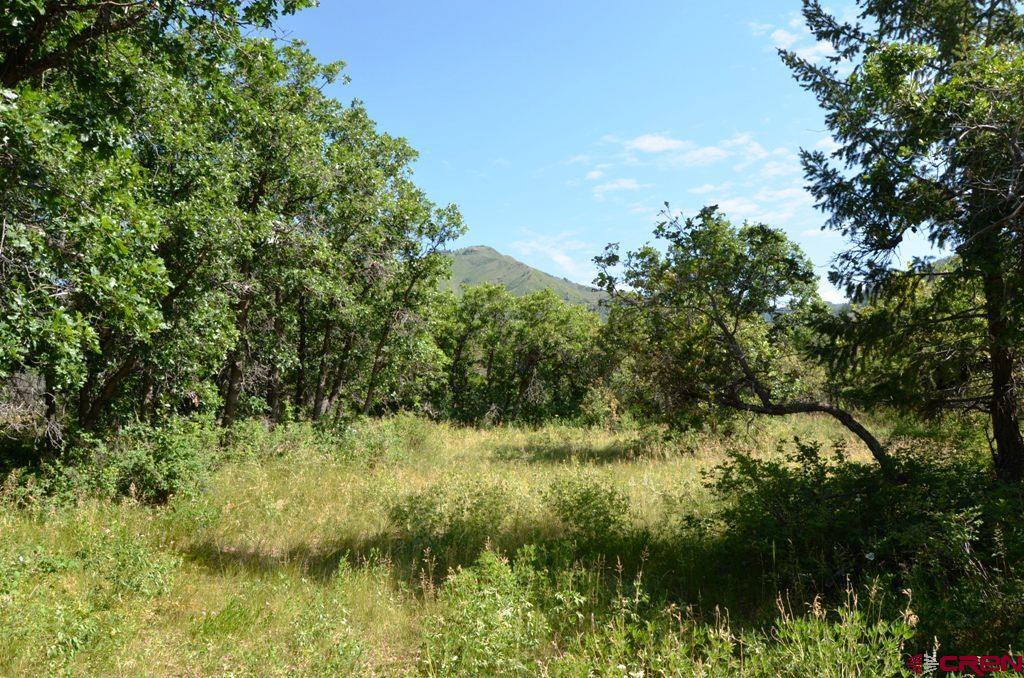 660 Winding River Road Durango, CO 81301 - Photo 21 of 29 a view of a lake
