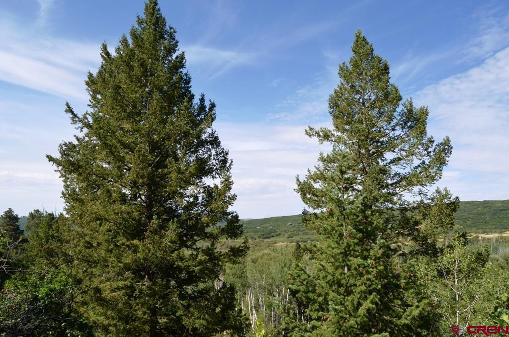 660 Winding River Road Durango, CO 81301 - Photo 23 of 29 a picture of trees
