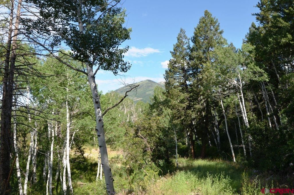 660 Winding River Road Durango, CO 81301 - Photo 24 of 29 a view of a garden