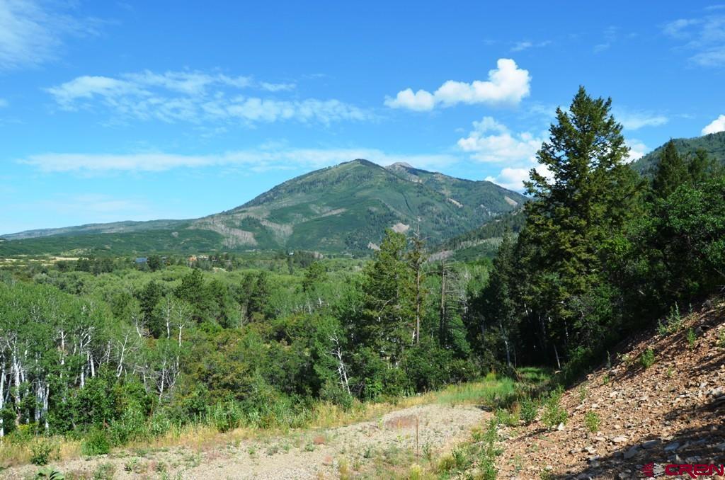 660 Winding River Road Durango, CO 81301 - Photo 3 of 29 a view of a green field with lots of bushes