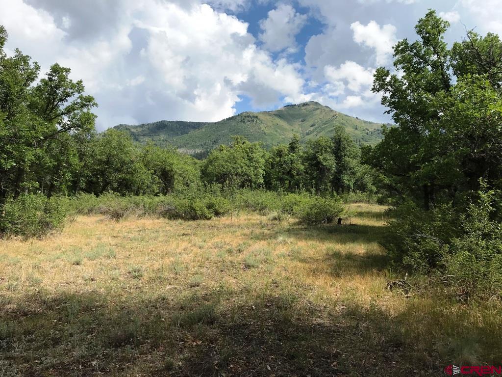 660 Winding River Road Durango, CO 81301 - Photo 4 of 29 a view of a lake with green space